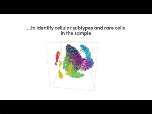 How it Works | Chromium Single Cell Gene Expression Solution | BioSystems