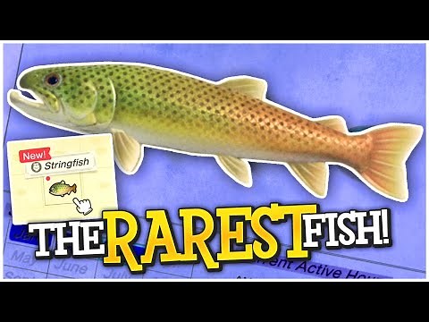 Journey For The Stringfish - How To Catch The RAREST Fish In Animal Crossing New Horizons