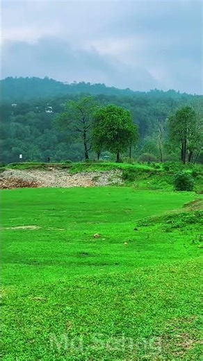 সকল সবুজ রং এক হয়ে পাহাড় হয়ে যায়