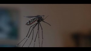 3.1M views · 26K reactions | All Out with ULTRA LIQUID POWER is ready to kill mosquitoes causing diseases like Dengue, Malaria, Chikungunya from every corner of your home. Ready to welcome #MachcharonKaYamraj ? Bring it home today! . . #AllOut #MosquitoKiller #MosquitoRepellent #AllOutIndia #MosquitoDiseases #MosquitoBite #UltraLiquid #KillMosquitoes #NewLaunch #ProductLaunch #NewProduct #Mosquito #MosquitoFree #Malaria #Dengue #Chikunguniya #DiseaseFree #BuyNow | All Out India | Facebook