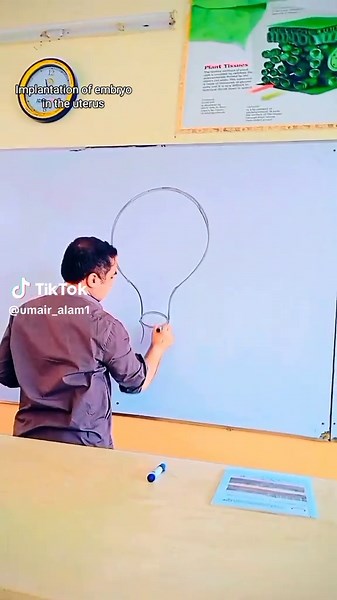 Understanding Embryo Implantation Timing