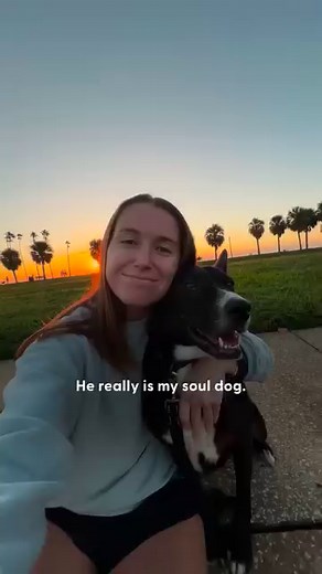 1.4M views · 10K reactions | Nina the definition of clingy  She lives to curl up on living room rug to watch TV with her Mom every day... She even follows her into the bathroom too! To help save other animals like Nina, donate to Freedom Reins here: thedo.do/foreverfreedomreins. Keep up with Nina and friends on TikTok: thedo.do/freedomreins16 and Instagram: thedo.do/freedomreins. | The Dodo | Facebook