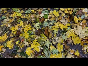 Alex Angel - Anthem Of The World (Live)