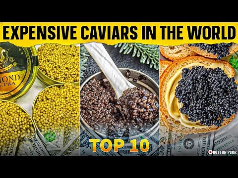 Top 10 Most Expensive Caviars in the World | Why is Caviar so Expensive?