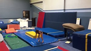 9.1K views · 217 reactions | 5-1-2017 Nadia used to struggle so much...