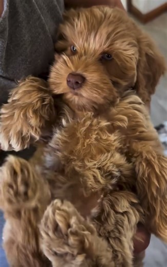 🎤OneLoveProduction - Ангелочек