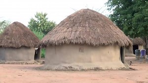 8.4K views · 352 reactions | Les Peuls nomades en voie de sédentarisation au benin  Documentaire très riche sur les peuls. #PeulhCameroun #documentaire #documentairesurlespeuls #Fulbe #Peulsdubenin | Les Peulhs du Cameroun | Facebook