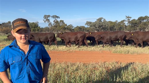 Rockingham Santas on Reels