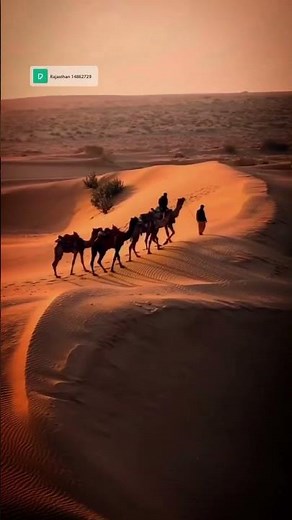 Dil Hum Hum Kare | Rudaali | Bollywood Song | Old Hindi Songs