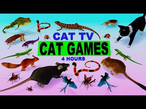 Cat Games 3D : 4 Hours Non-Stop CAT Games 🐭🐛 Real Bugs, Mice & Lizards for Cats to Chase