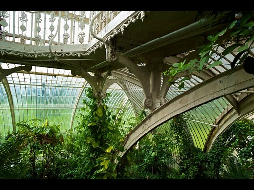 Vertical forests and other wonders of biophilic architecture