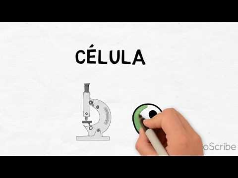 Biografía de ROBERT HOOKE