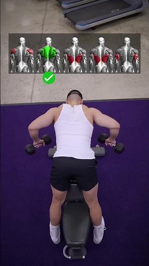 Dumbbell Back Exercise