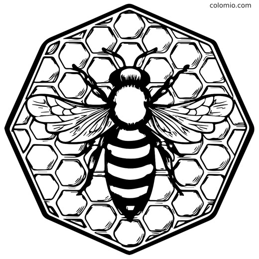 Free Bee Coloring Page with Honeycomb Frame | Colomio