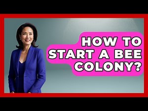 How To Start A Bee Colony? - The World of Agriculture