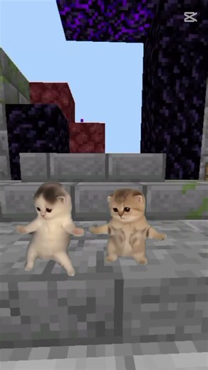 I get that feeling #cat #minecraft