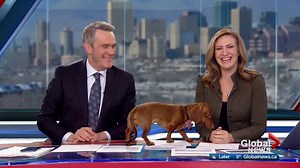 Nothing to see here, just move along…