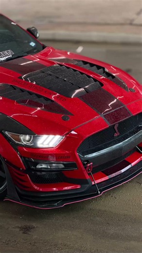 King red in the rain #automobile #cars #cartok #fast #mustang #gt500
