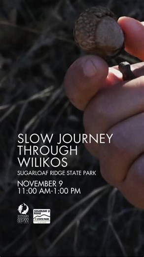 62 reactions · 11 shares | Join Desi Harp, Mishewal-Wappo tribe...