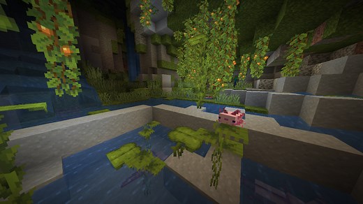 how-to-tame-an-axolotl-in-minecraft