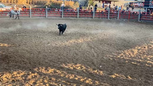 Jaripeo Ranchero de Lazo Michoacán on Reels