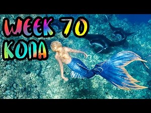 MERMAIDS ARE REAL!! Swimming with Dolphins, Manta Rays, and SHARKS!! /// WEEK 70 : Kona, Hawaii