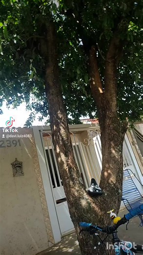 Os vídeos de E O DA VK?❤️ (@davi.luiz4083) com som original - E O DA VK?❤️