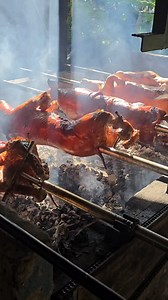 250 reactions · 19 shares | Sun-kissed  #titosbigbelly #tbb #lechonbelly #lechonbohol #lechonbelly #lechon #crispy #bohol #reels #ig | Tito's Big Belly | Facebook