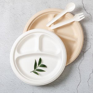 [Hot Item] Eco Friendly Biodegradable Tableware 100% Disposable Sugarcane Pulp Plate Sugarcane Plate Paper