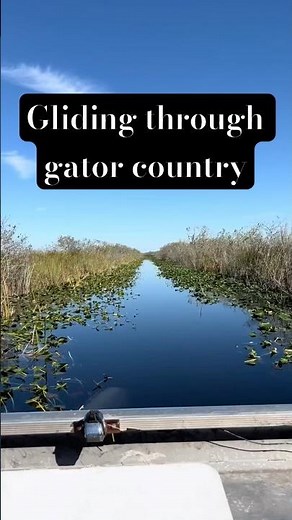 Airboat Adventure: Exploring the Florida Everglades 🐊 #hiddengems #bucketlisttravel #travelcouple
