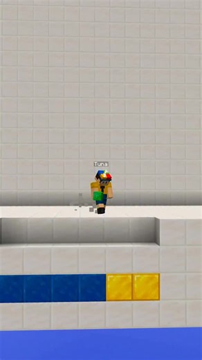 Samet Parlak 2 on Instagram: "Minecraft’ta Süper Zor Eşleştirme Oyunu !!"