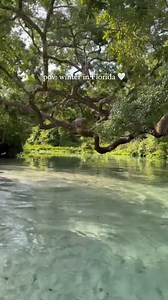 Rock Springs is a magical place to be 😌✨ | Get Up And Go Kayaking