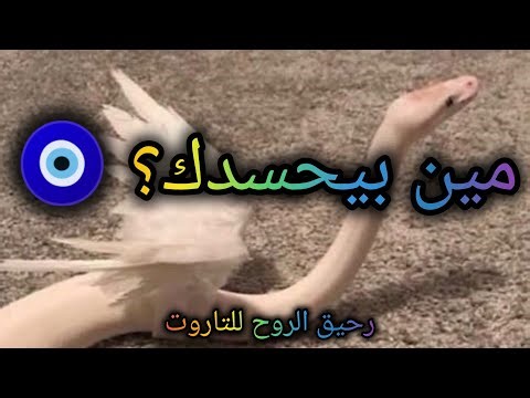 #اختر_كارت مين بيحسدك 🪬🧿خططه في خسارتك للنعم اللي عندك