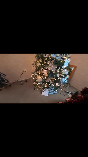 1K views · 12 reactions | Bidding is open and closes at noon today! Come now to bid on your favorite! These trees are beautiful! | Linn County Senate Bill 40 | Facebook