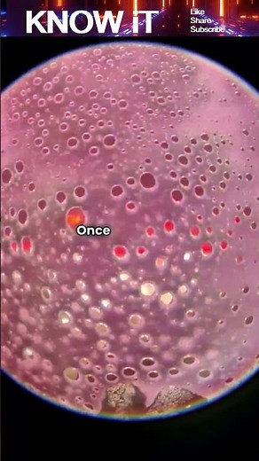 How many Dead Skin Cells do we Shed every Minute? 🧴
