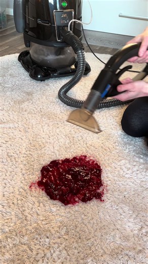 Nassreinigung mit Hyla: Sauberkeit auf einem neuen Level