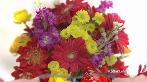 26K views · 77 reactions | Discover how you can experience high definition and vibrant colors through KODAK Lens technology at www.kodaklens.sg #seethecolorsoflife | KODAK Lens Singapore | Facebook