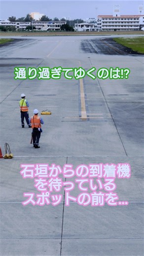 [Short Ground Handling Video] 🥭 Who are the marshals passing by the spotwhere the plane #shorts