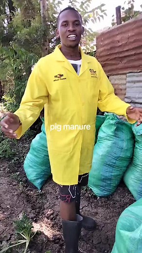 Uso del estiércol de cerdo para el crecimiento vegetal