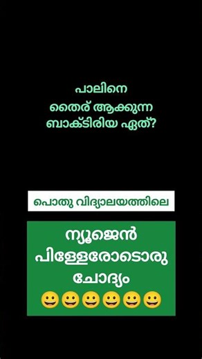 Which bacteria turns milk into yogurt?