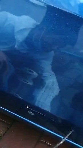 KY TWIN EIGHT ZONE ENTERPRISE on TikTok