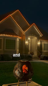 Every holiday, every party: light ‘em up with EverLights permanent holiday lighting. EverLights are the best-engineered, most eye-pleasing lights on America’s rooflines. • Brightest: 120 lumens vs. 80 lumens from the other guys • Longest lasting: 100k lifetime hours vs. 50K with all the others • Most colors: Over 4 billion colors vs. 10 million from the other lights • Dedicated warm white LED. No one else has this. • CREE LEDs: the gold standard in LED tech • Choose outward facing or downward fa