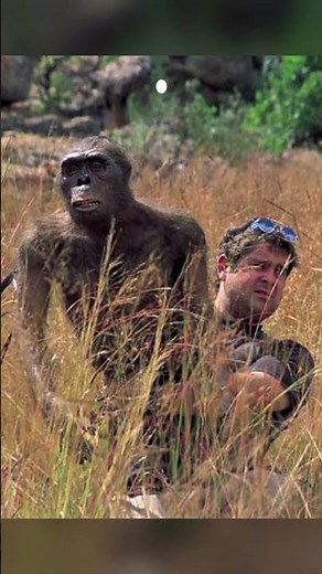 Curiosidades de Walking With Beasts,1