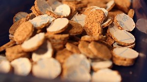 Hodgdon 777 BP Substitute And Homemade Lubrication Wads - The Reloaders Network