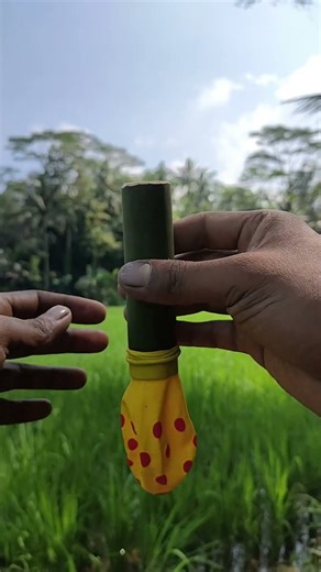 one hole slingshot. #diyslingshot #outdoorwork #catapults