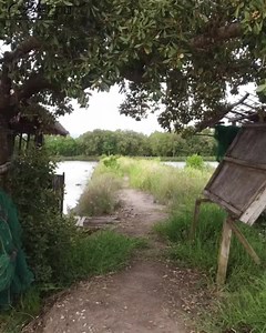 305K views · 8.3K reactions | "The most beautiful scenery in the...