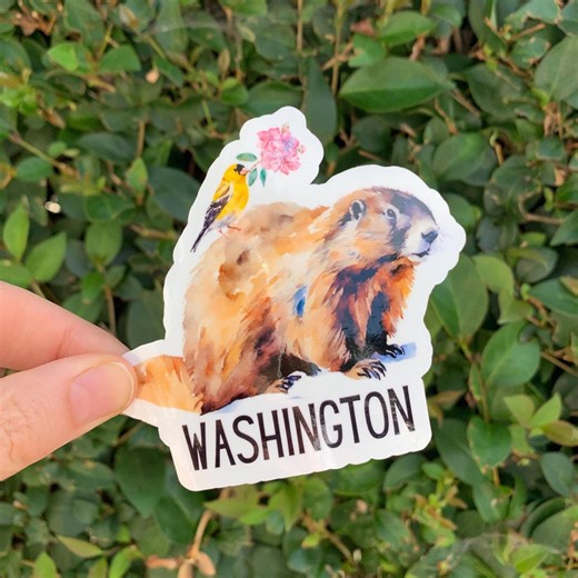 Washington Sticker, State Sticker, Washington Gift, Washington Olympic Marmot Sticker - Etsy