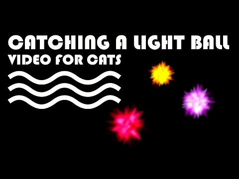 Cat Games - Catching a Light Ball! VIDEO FOR CATS TO PLAY.