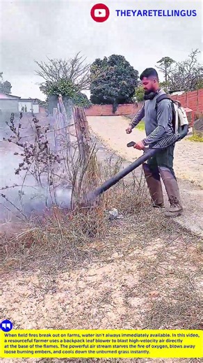 Unbelievable Wildfire Hack! Fighting Fire with a Leaf Blower 💨🔥 #farm #hack #ideas #smart #rurallife