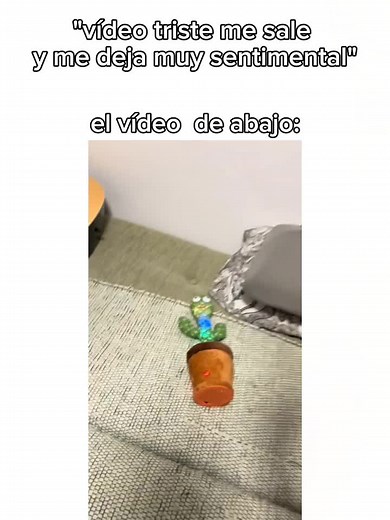 Humorous Toy Cactus Video with Sentimental Twist